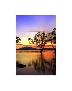 Картина Stamion Нил New