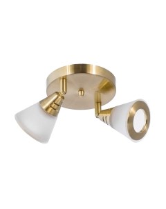 Потолочный светильник Aitin-Pro НПБ 640/2P Aitin-pro