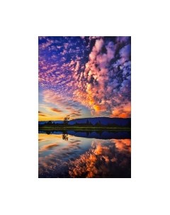 Картина Stamion На розовом…