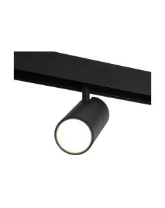 Трековый светильник Elektrostandard Slim Magnetic R02 85012/01