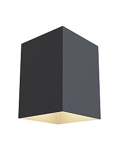 Потолочный светильник Maytoni Alfa C015CL-01B