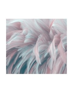 Фотообои листовые Vimala 3D перья