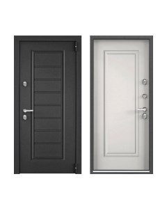 Входная дверь Torex Снегирь Pro МP-29