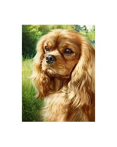 Набор алмазной вышивки Спаниель / АЖ-1792 Алмазная живопись