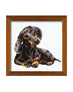 Набор для вышивания Такса / 906 Риолис