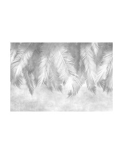 Фотообои листовые Vimala Серые листья
