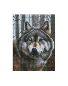 Набор алмазной вышивки Волк / 719-BK-S Белоснежка
