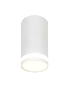 Потолочный светильник INhome НПБ Цилиндр-GU10-WL-WH / 4690612046495 Inhome