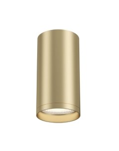 Потолочный светильник Maytoni Focus S C052CL-01MG