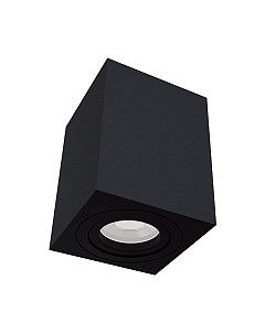 Потолочный светильник Maytoni Alfa C017CL-01B