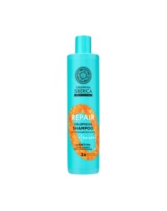 Шампунь для волос Oblepikha Siberica Professional Кератиновое восстановление Natura siberica