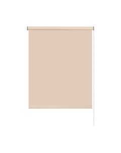 Рулонная штора Эскар Plain 52x160 / 711020521601