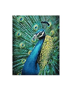 Набор алмазной вышивки Лазурный павлин / WD231 Wizardi
