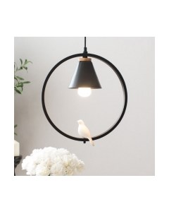 Потолочный светильник Home Light Астерия A043-5-B Home light