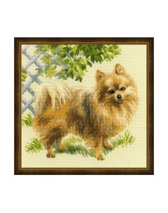 Набор для вышивания Малый шпиц / 1585 Риолис