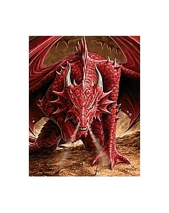 Набор алмазной вышивки Ярость дракона / WD178 Wizardi