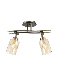 Потолочный светильник Citilux Мерида CL142124