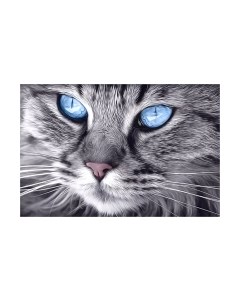 Набор алмазной вышивки Голубоглазый кот / WD2517 Wizardi