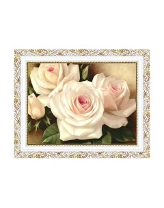 Картина Декарт Нежные бело-розовые розы 8Л2373