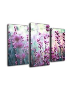 Картина модульная Arthata m-000524