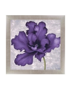 Картина Декарт Фиолетовый цветок 2 8Л2116