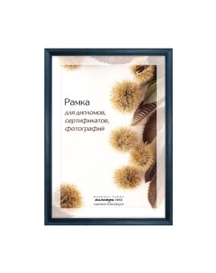 Рамка ПАЛИТРА Д14КЛО/1236 21x30 Палитра