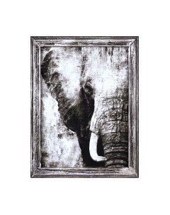 Картина Декарт Слон в черно-белых тонах 8Л3699