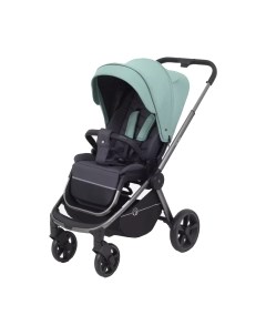 Детская прогулочная коляска Rant Flex Pro 2023 / RA099