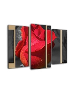 Картина модульная Arthata m-001221