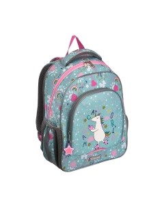 Школьный рюкзак Erich Krause ErgoLine 15L Rainbow Skate / 52603 Erich krause