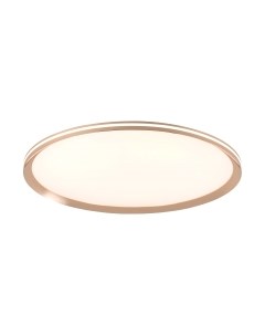 Потолочный светильник LED4U L3020-600 GD Led4u