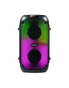 Портативная колонка Ginzzu GM-234