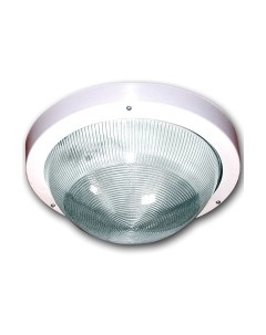 Светильник ЖКХ Элетех Селена 1 НПП 03-100-001 / 1005500125