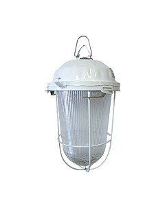 Светильник для подсобных помещений TDM НСП 02-200-022.01 У2 Tdm