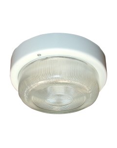 Светильник ЖКХ Элетех Селена 3 НПП 03-60-003 / 1005500126