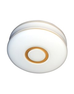 Потолочный светильник Ролла 250 НПО 22-2x60-211 / 1005154020 Элетех