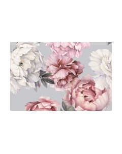 Фотообои листовые Vimala Настенные цветы 23