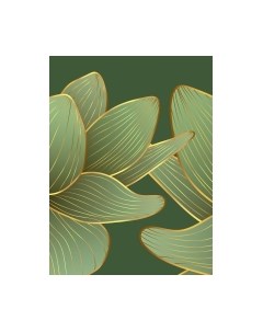 Фотообои листовые Vimala Векторные листья 22