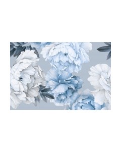 Фотообои листовые Vimala Настенные цветы 5