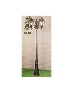 Фонарь уличный Elektrostandard Andromeda F/3 GLYF-8024F/3