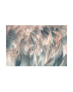 Фотообои листовые Vimala Перья 8