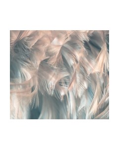 Фотообои листовые Vimala Перья 8