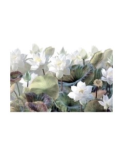 Фотообои листовые Arthata Fotooboi-33