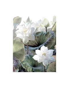 Фотообои листовые Arthata Fotooboi-33