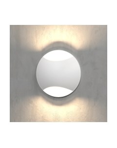 Светильник уличный Elektrostandard MRL LED 1105