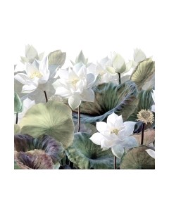 Фотообои листовые Arthata Fotooboi-33