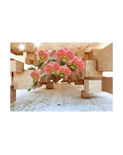 Фотообои листовые Vimala Орхидеи и кубы