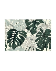 Фотообои листовые Vimala Листья монстеры 2