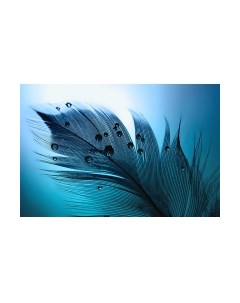 Фотообои листовые Vimala Индиго