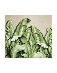 Фотообои листовые Vimala Банановые листья зеленые